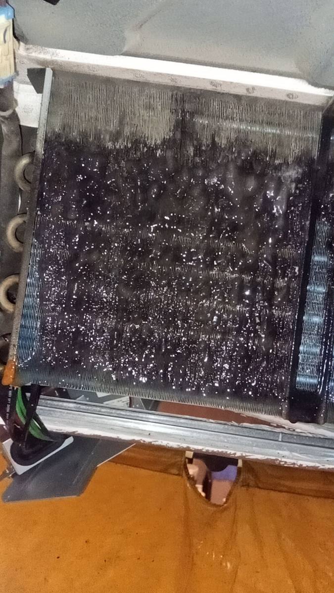Very dirty evaporator coil before cleaning